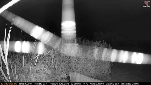 time-lapse frame, Deck-Dock Cam webcam