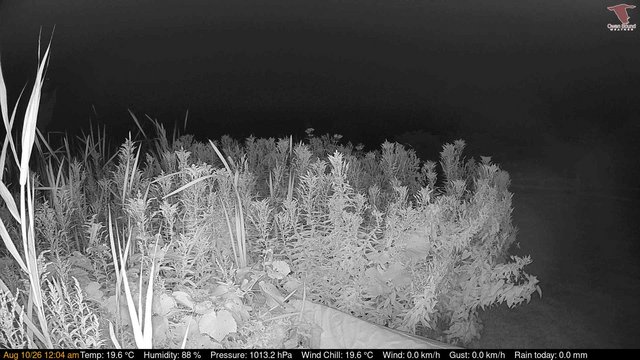 time-lapse frame, Deck-Dock Cam webcam