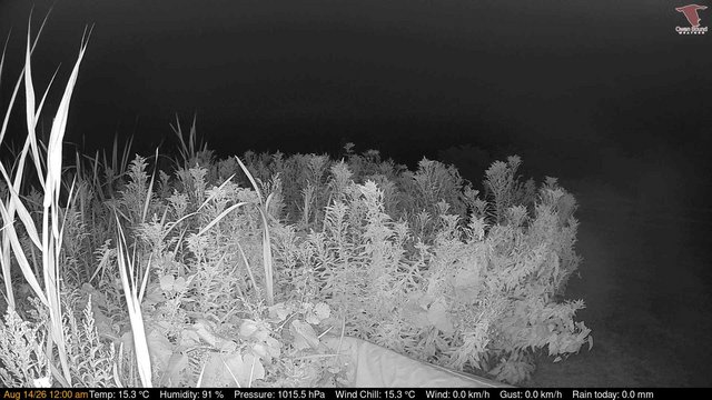 time-lapse frame, Deck-Dock Cam webcam