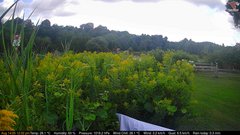 view from Deck-Dock Cam on 2026-08-14