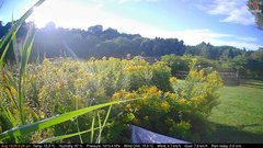 view from Deck-Dock Cam on 2026-08-18