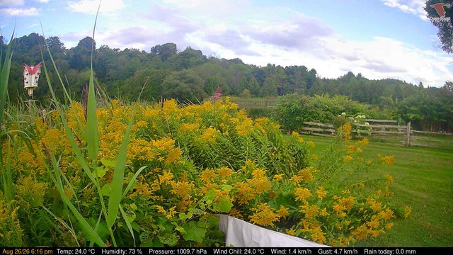 view from Deck-Dock Cam on 2026-08-24