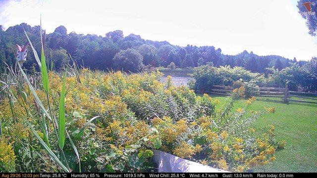 view from Deck-Dock Cam on 2026-08-29