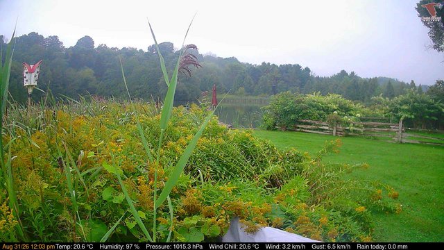 view from Deck-Dock Cam on 2026-08-31