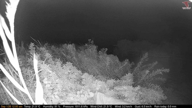 time-lapse frame, Deck-Dock Cam webcam