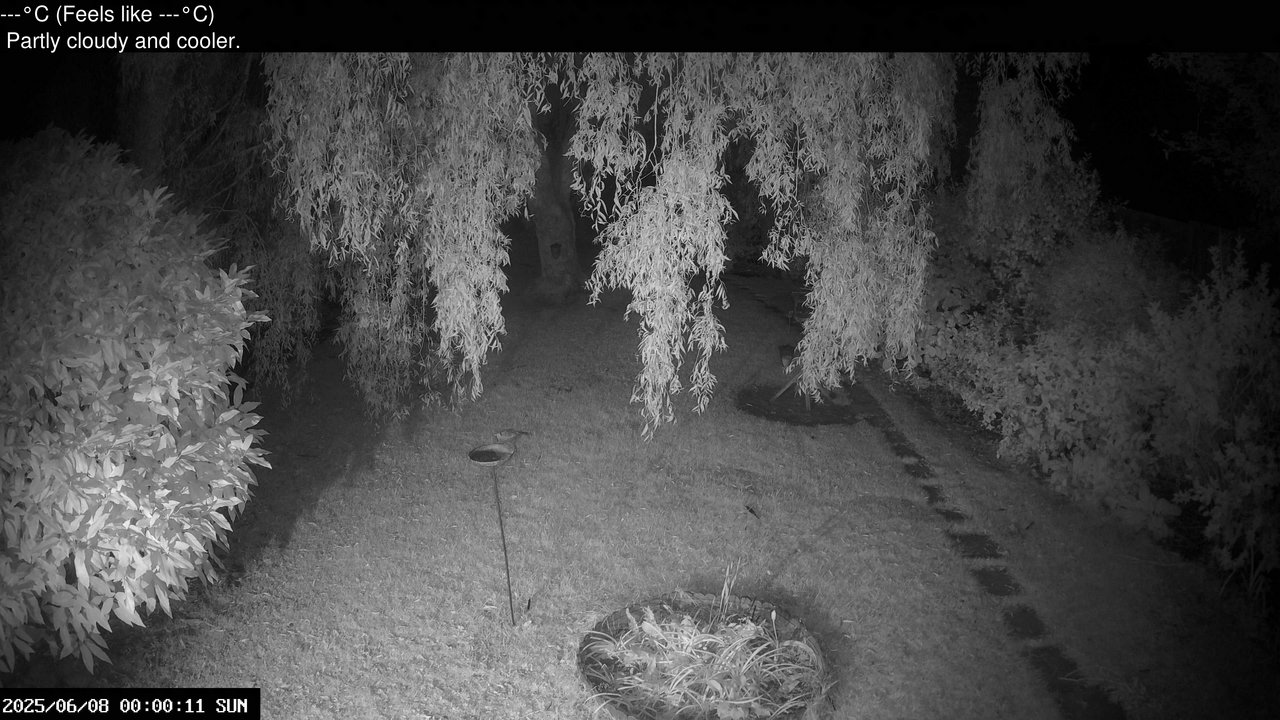 time-lapse frame, Wembury, Devon. Garden Cam webcam