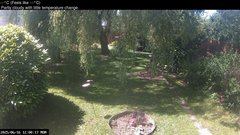view from Wembury, Devon. Garden Cam on 2025-06-16