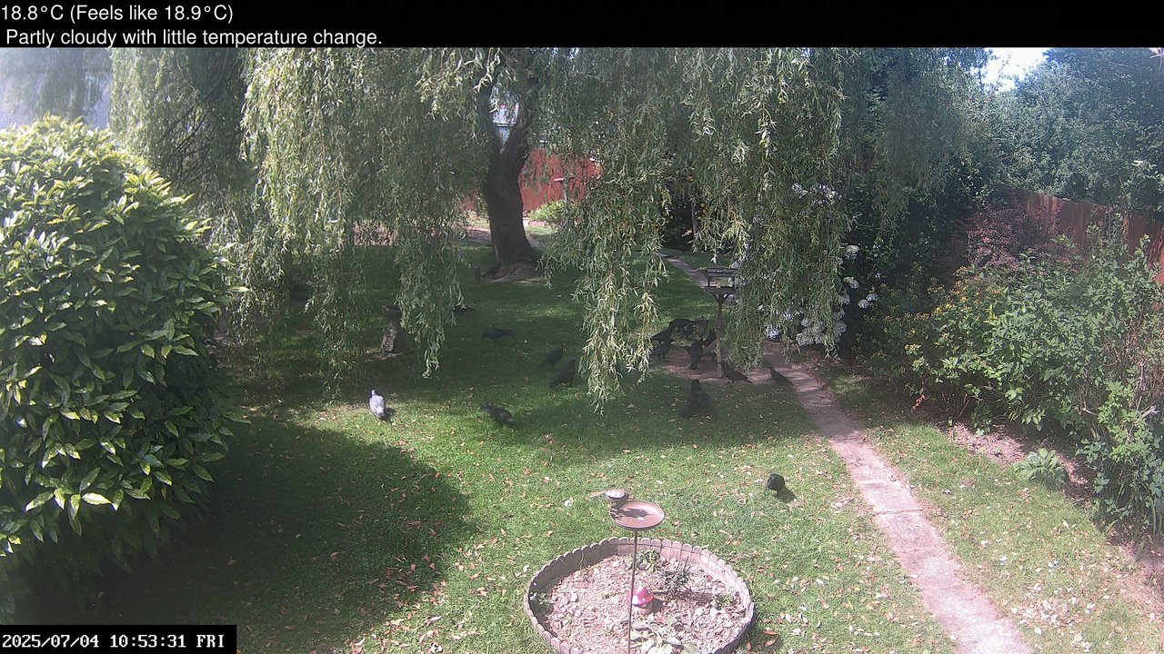 time-lapse frame, Wembury, Devon. Garden Cam webcam