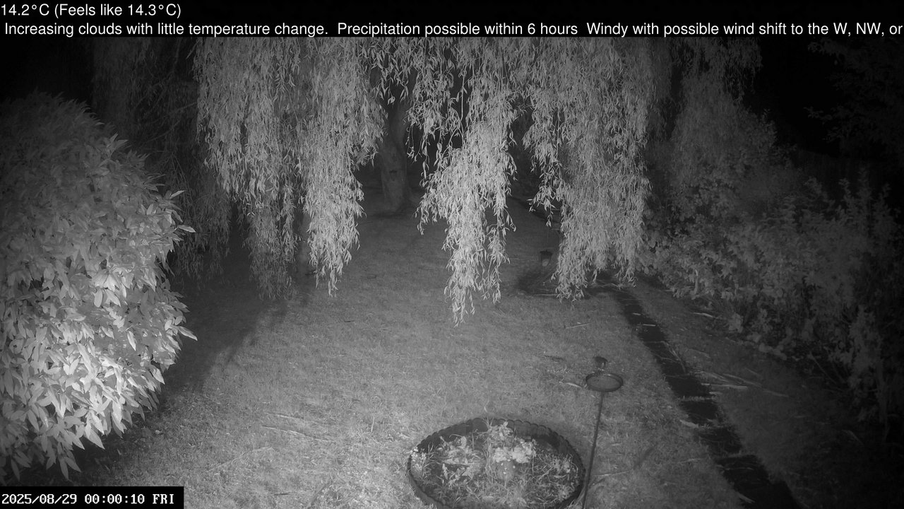 time-lapse frame, Wembury, Devon. Garden Cam webcam
