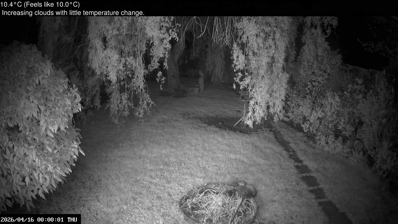 time-lapse frame, Wembury, Devon. Garden Cam webcam