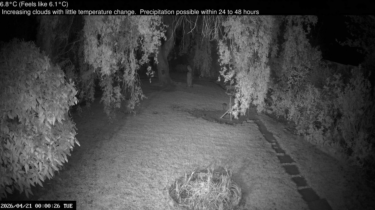 time-lapse frame, Wembury, Devon. Garden Cam webcam