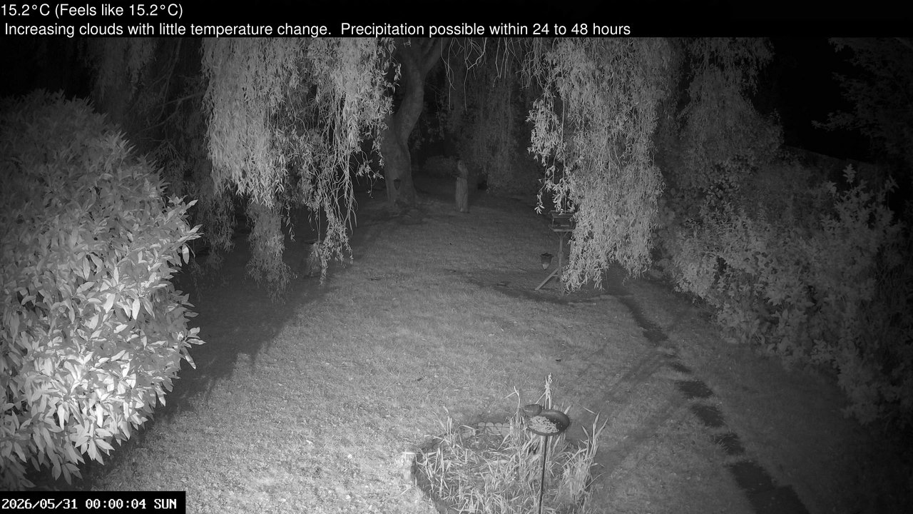 time-lapse frame, Wembury, Devon. Garden Cam webcam