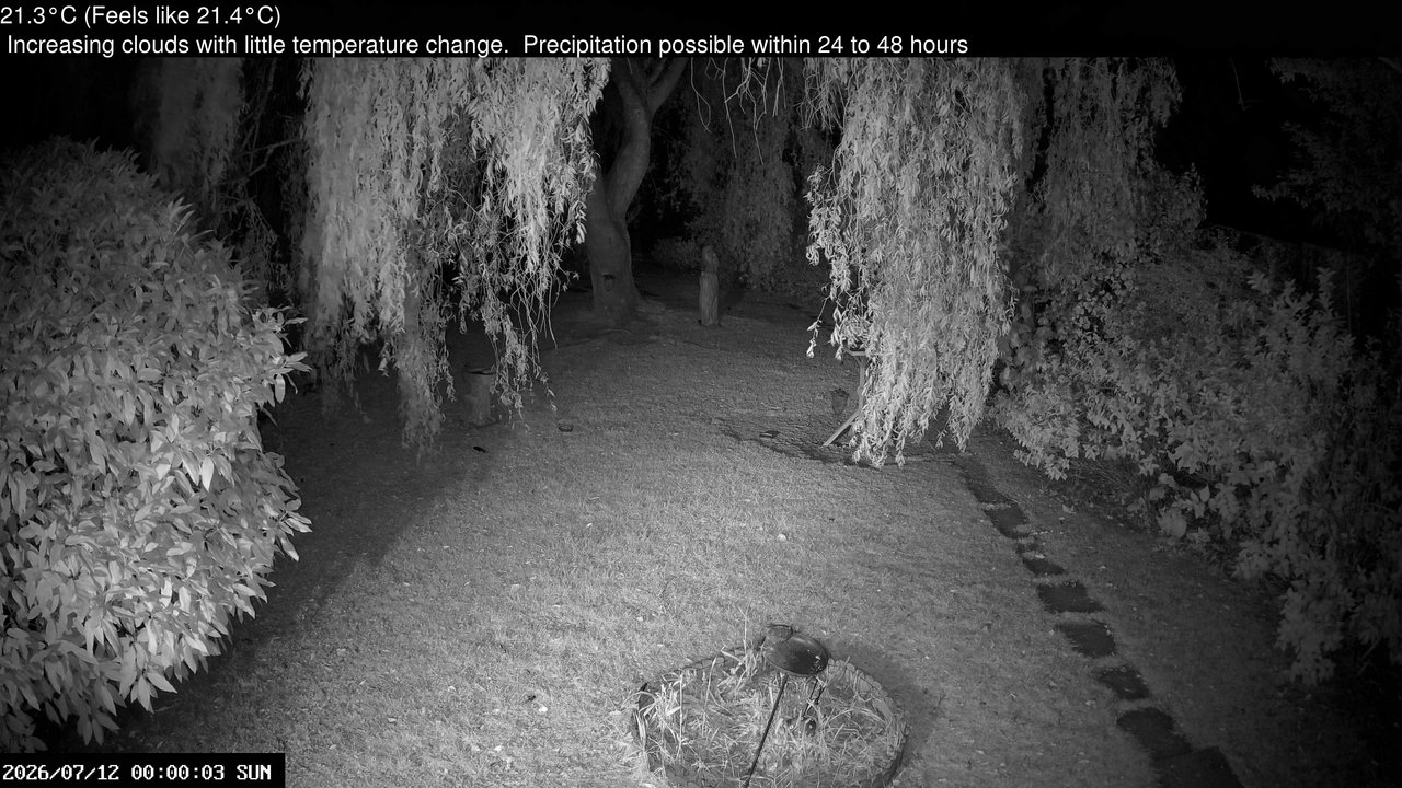 time-lapse frame, Wembury, Devon. Garden Cam webcam
