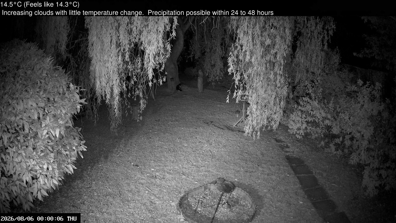 time-lapse frame, Wembury, Devon. Garden Cam webcam