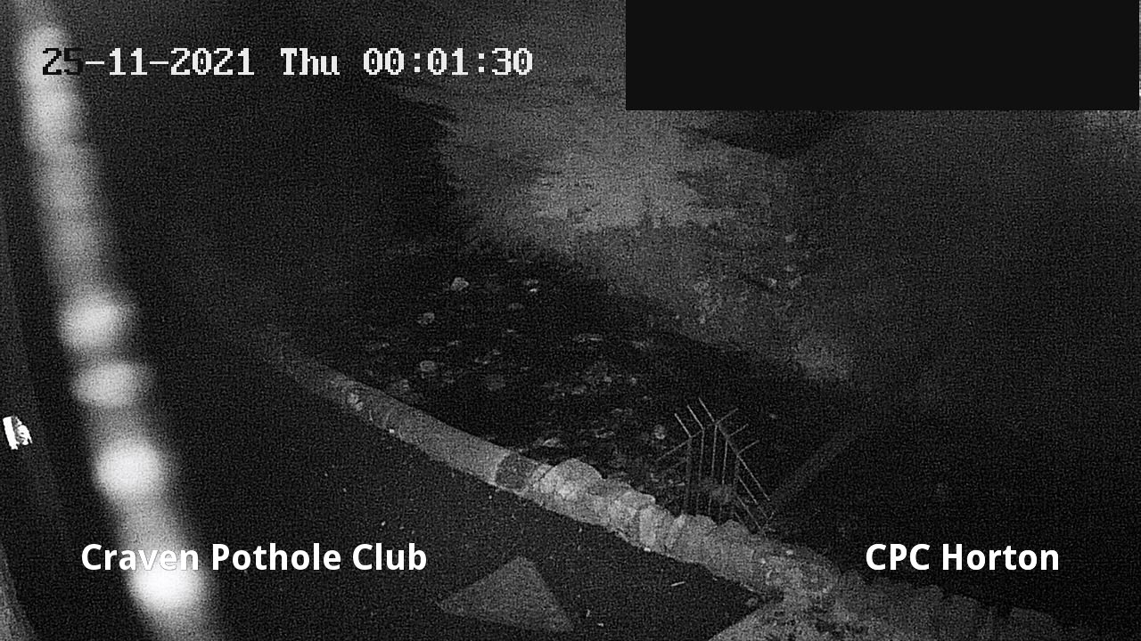 time-lapse frame, HortonBrantsGillCam webcam