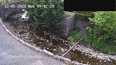 view from HortonBrantsGillCam on 2025-05-12