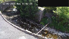 view from HortonBrantsGillCam on 2025-05-12