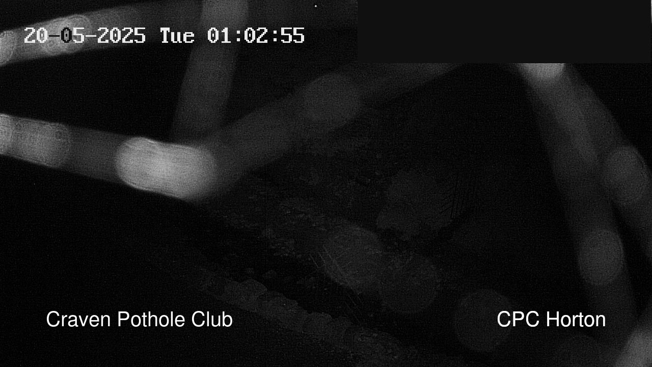 time-lapse frame, HortonBrantsGillCam webcam