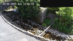 view from HortonBrantsGillCam on 2025-05-20