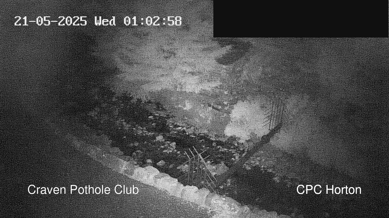 time-lapse frame, HortonBrantsGillCam webcam