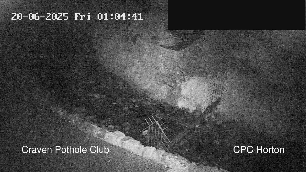 time-lapse frame, HortonBrantsGillCam webcam