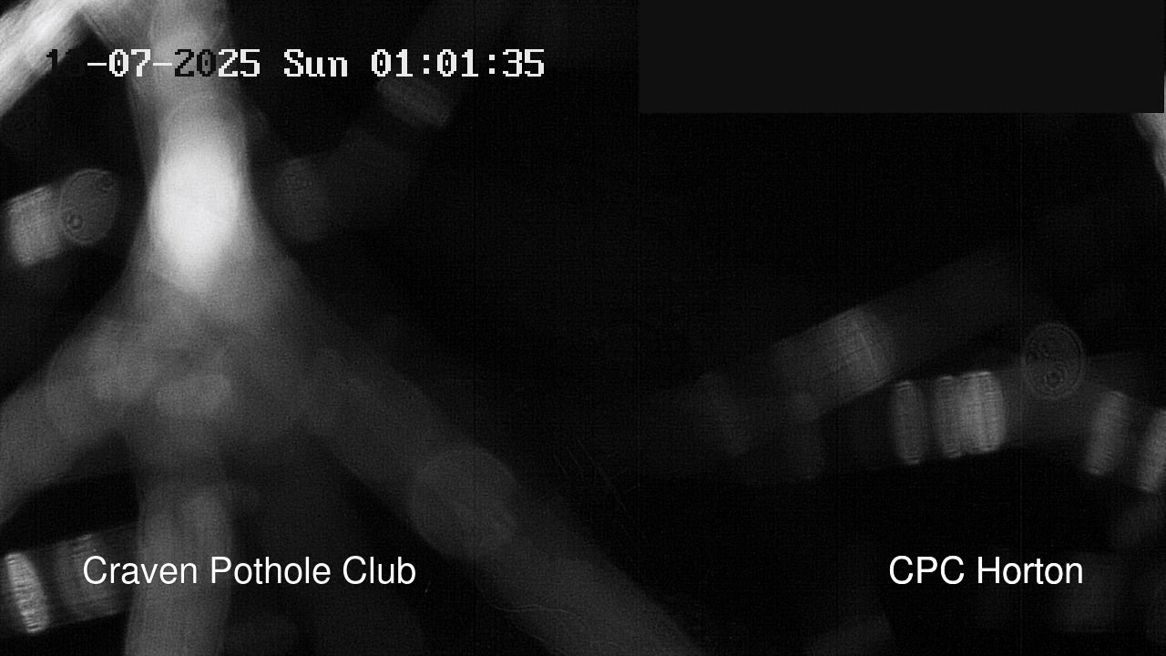 time-lapse frame, HortonBrantsGillCam webcam