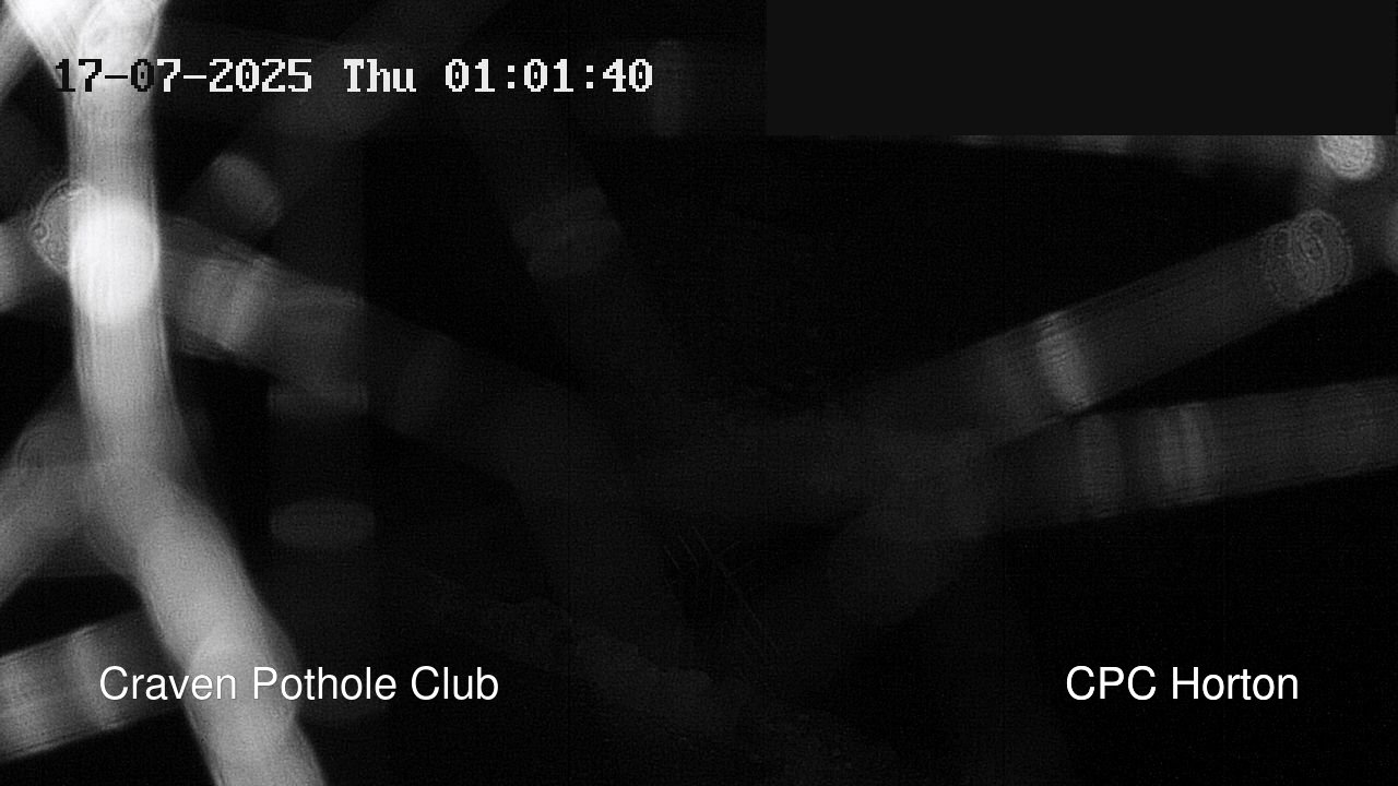 time-lapse frame, HortonBrantsGillCam webcam