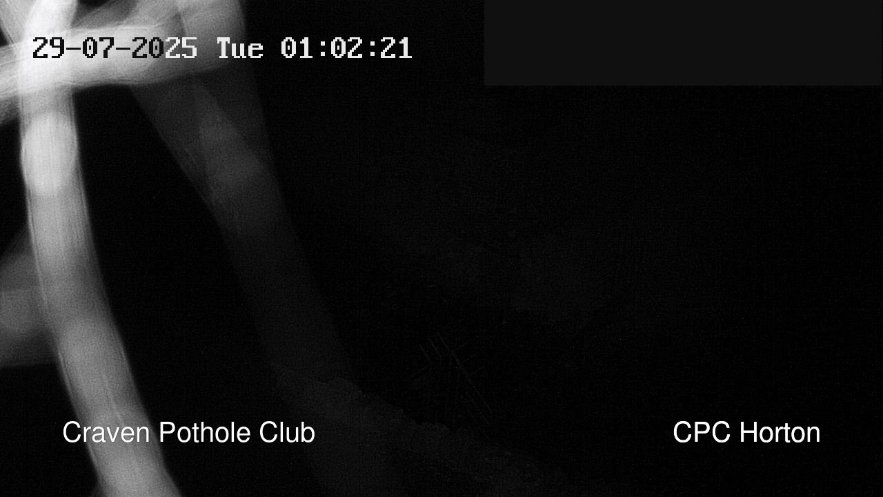 time-lapse frame, HortonBrantsGillCam webcam