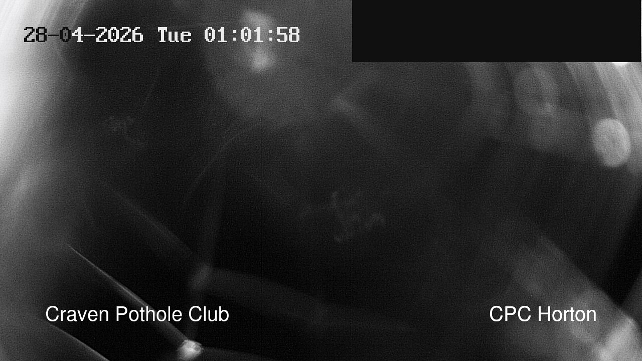 time-lapse frame, HortonBrantsGillCam webcam