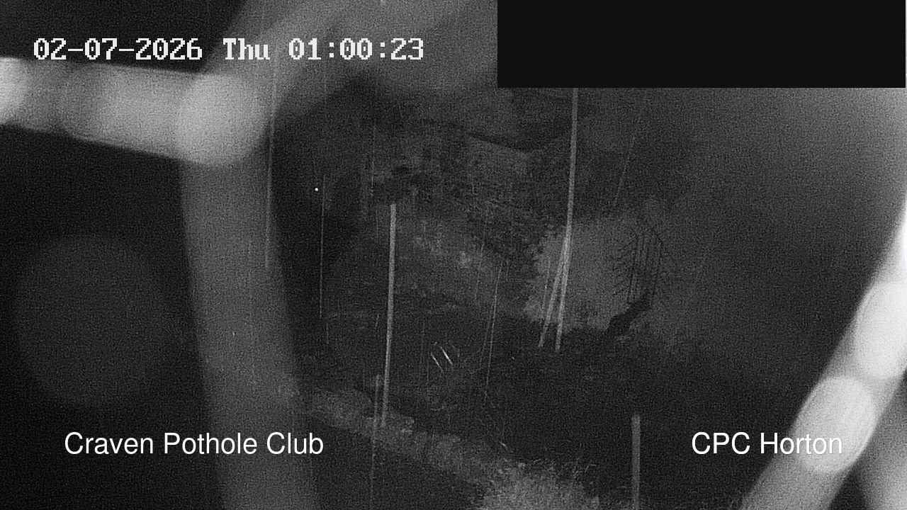 time-lapse frame, HortonBrantsGillCam webcam