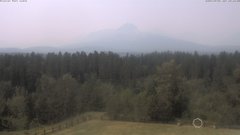 view from Glacier Park Lodge on 2026-07-26
