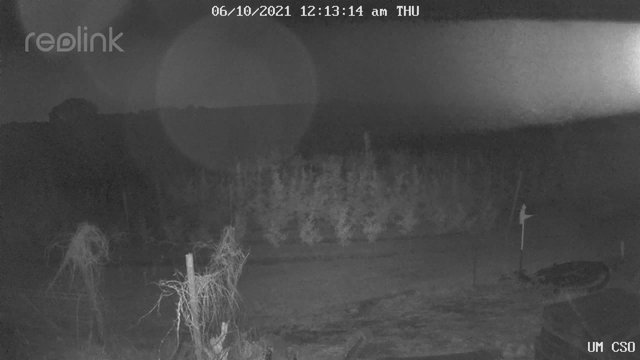 time-lapse frame, UM CSO webcam