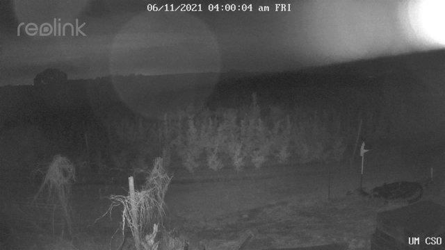 time-lapse frame, UM CSO webcam