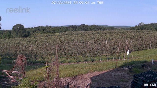 time-lapse frame, UM CSO webcam