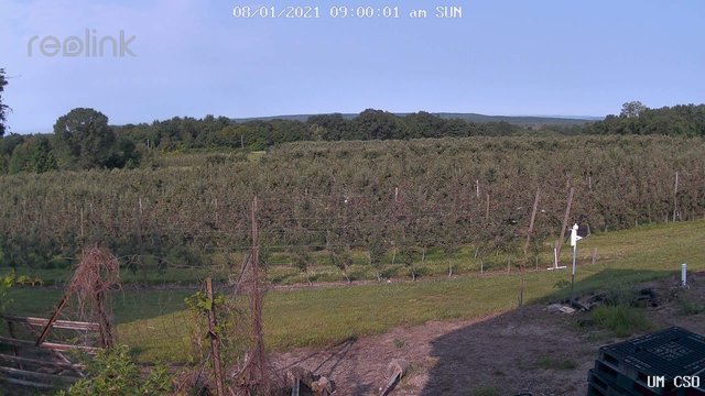 time-lapse frame, UM CSO webcam