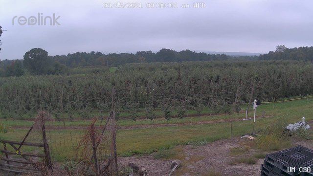 time-lapse frame, UM CSO webcam