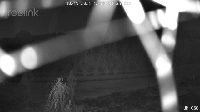 time-lapse frame, UM CSO webcam
