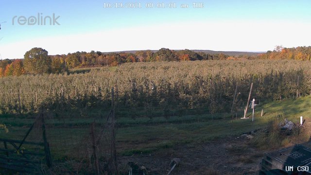 time-lapse frame, UM CSO webcam