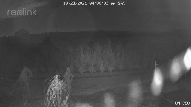 time-lapse frame, UM CSO webcam