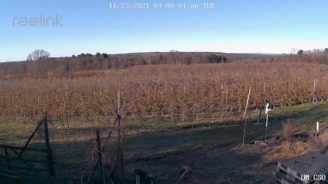 time-lapse frame, UM CSO webcam