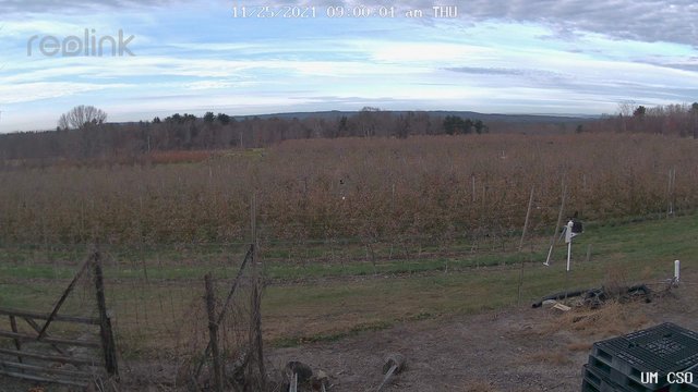 time-lapse frame, UM CSO webcam