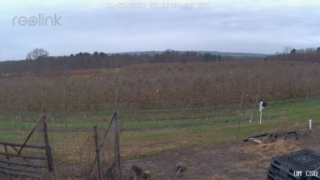 time-lapse frame, UM CSO webcam