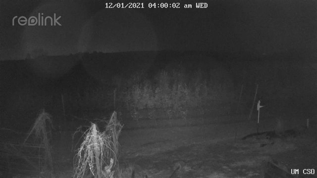 time-lapse frame, UM CSO webcam