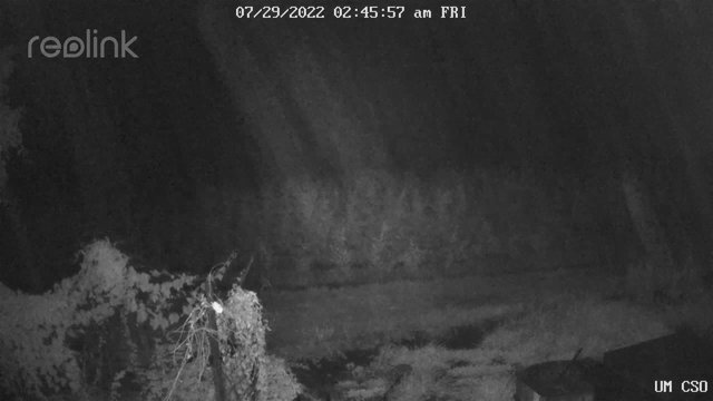 time-lapse frame, UM CSO webcam
