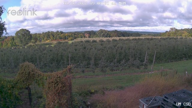 time-lapse frame, UM CSO webcam