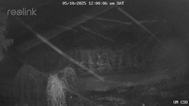 time-lapse frame, UM CSO webcam