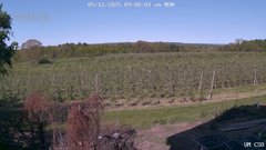 view from UM CSO on 2025-05-12