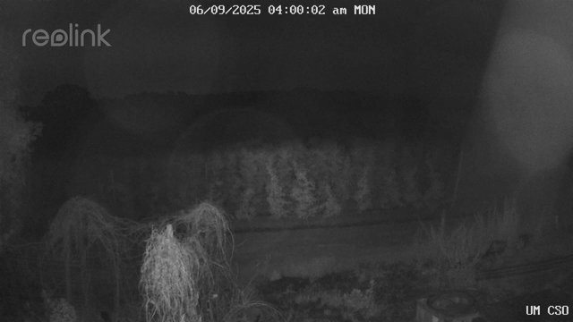 time-lapse frame, UM CSO webcam