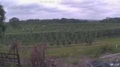 view from UM CSO on 2025-06-09