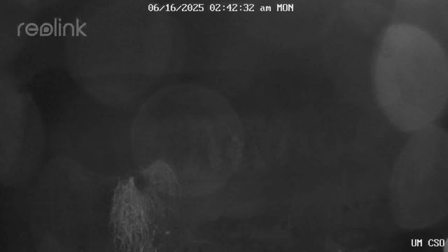 time-lapse frame, UM CSO webcam